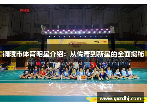铜陵市体育明星介绍：从传奇到新星的全面揭秘