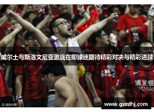 威尔士与斯洛文尼亚激战在即球迷期待精彩对决与精彩进球